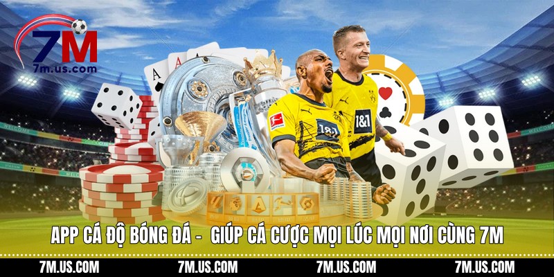 App cá độ bóng đá