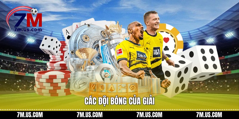 Các đội bóng của giải