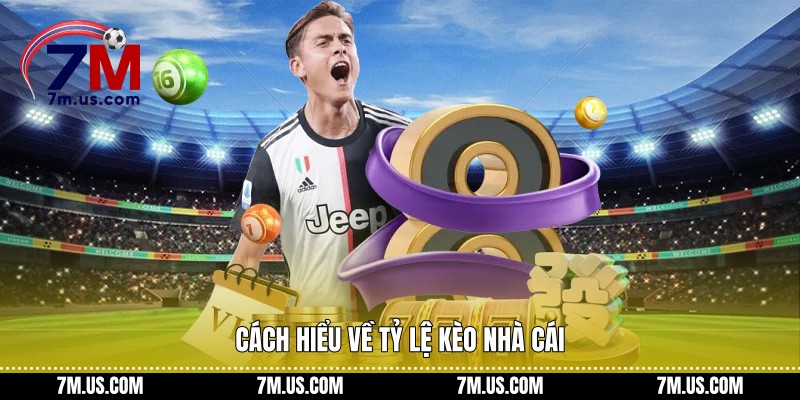 Cách hiểu về tỷ lệ kèo nhà cái