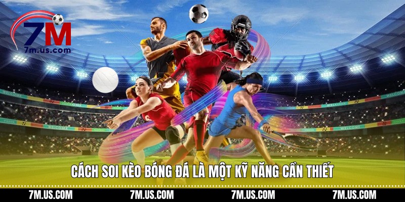 Cách soi kèo bóng đá là một kỹ năng cần thiết