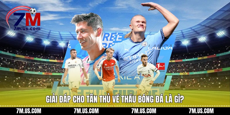 Giải đáp cho tân thủ về thầu bóng đá là gì?