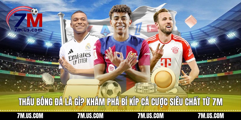 Thầu bóng đá là gì